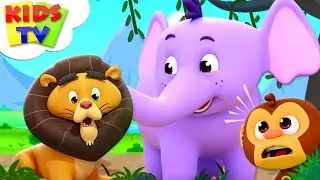 Zoo Song | The Supremes Cartoons | Kindergarten Nursery Rhymes For Children - Kids TV