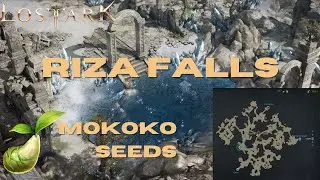 Riza Falls Mokoko Seeds Lost Ark Guide