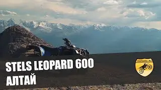 Стелс Леопард 600