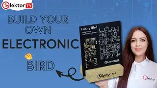 Build Your Own Electronic Funny Bird