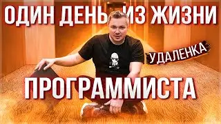 Один день из жизни программиста. Ответы на вопросы