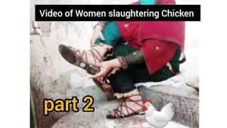 Video of Woman slaughtering  Chicken Part 2, By Gull Baji  Vlogs