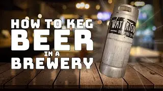 How to Keg Beer in a Brewery