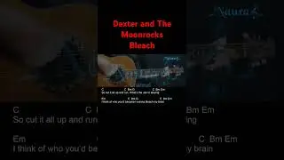 Dexter and The Moonrocks - Bleach Guitar Chords Lyrics 