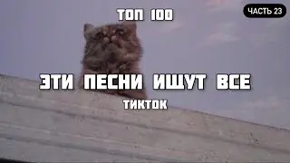 ТОП 100 ПЕСЕН КОТОРЫЕ ИЩУТ ВСЕ В ТИК ТОК | ТРЕНДЫ TIKTOK | НОВИНКИ ИЮЛЬ 2021 | ЧАСТЬ 23