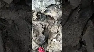 Терпение лопнуло когда поскользнулась.