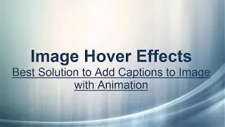 How to use image hover effects - WordPress Plugin