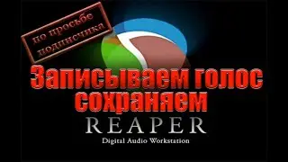 Работаем в REAPER (Настройка записи голоса)