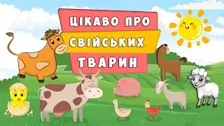 Цікаві факти про свійських тварин 🐷 ЗВУКИ та назви домашніх тварин 🐴