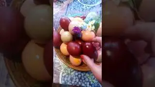 4 мая 2024 г.