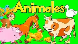 Sonidos de Animales para bebes | Aprende los Animales | Videos para Niños |  lunacreciente