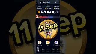 11 September Rocky Rabbit Combo Card | Rocky Rabbit Today Combo🐇