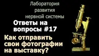 Как отправить свои фотографии на выставку?