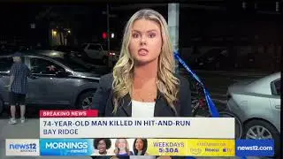 LLN on Channels 2,4,7,11,12 Fatal Hit Run Bay Ridge