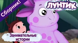 Занимательные истории 🤗 Лунтик 🤗 Сборник мультфильмов