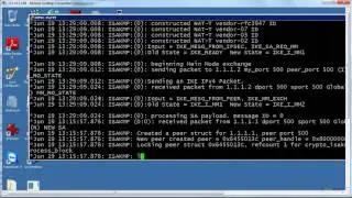 4. How to learn troubleshooting of VPNs Part 2