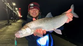 Pier Fishing Lake Michigan WHITEFISH! {Vertical Jigging}