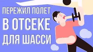 ЧТО ЕСЛИ лететь в отсеке для шасси (анимация)