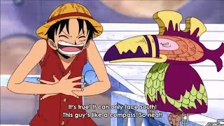 ルフィは南鳥を楽しませる_Luffy makes fun of South Bird