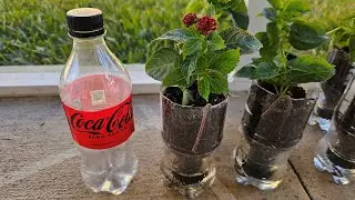 Make Self Watering Planters from Coke Bottles - Fun Recycling Project