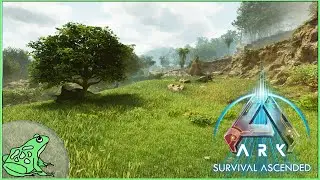 Day 36 - Tributes and Tames? -  Ark Survival Ascended - ASA LIVE