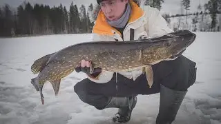 Трофейная Щука под 5 кг. Рыбалка на крупного окуня и щуку зимой.