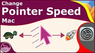 How to Change Pointer Speed on Mac in macOS Ventura | 2022