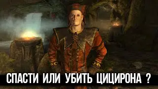 Skyrim Убить или Помиловать Цицирона? Правильный выбор в квесте "Лекарство от безумия"