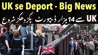 UK se 14000 people deport - Latest updates