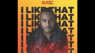 Gate - I like that (Audio)