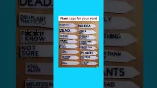 Funny plant tags!