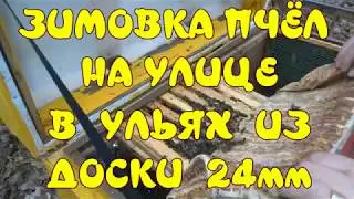 ЗИМОВКА ПЧЁЛ НА УЛИЦЕ В УЛЬЯХ ИЗ ДОСКИ 24мм