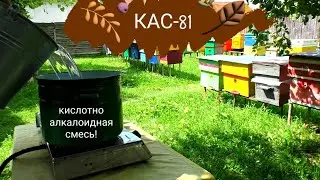 КАС 81 ПОСМОТРИМ НА ЧТО ОН СПОСОБЕН!