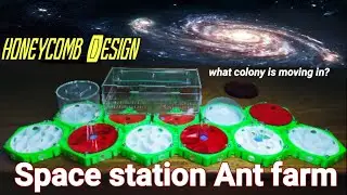 Unlimited Expansion Formicarium | Unboxing & Review | D colony