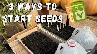 3 ways to start seeds | Winter sowing, soil blocking, and seed trays