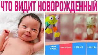 МИР ГЛАЗАМИ МЛАДЕНЦА | Что и как видят малыши