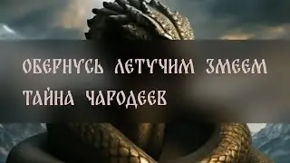 ОБЕРНУСЬ ЛЕТУЧИМ ЗМЕЕМ. ТАЙНА ЧАРОДЕЕВ. ДЛЯ ВСЕХ ▴ ВЕДЬМИНА ИЗБА. ИНГА ХОСРОЕВА