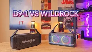 W-king D9-1 VS Mifa Wildrock "DEEP BASS VS VOCALS?!"