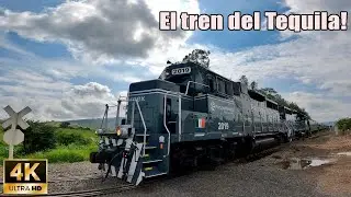Meet one of the last passenger trains in Mexico! Tequila train...