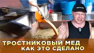 Тростниковый мед. Как это сделано.