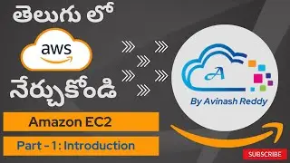 AWS in Telugu : Exploring the EC2 Basics | Purchasing Options by Avinash Reddy