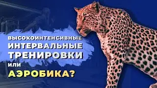 Высокоинтенсивные интервальные тренировки