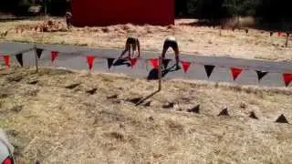 Gladiator Rock'n Run 