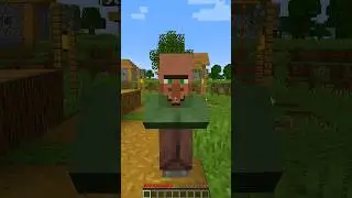 Minecraft Villager Moment