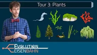 Tour 3: Plants – how they were invented and how they conquered the world