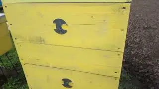 Расширяем пчелиные семьи. Как мы это делаем!