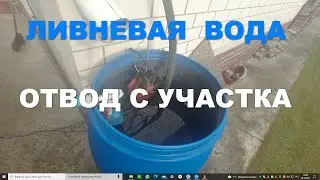 Ливневка на участке