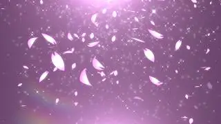 [商用利用OK!ロイヤリティフリー素材動画]桜が舞い散る背景映像[ FREE Video Background]