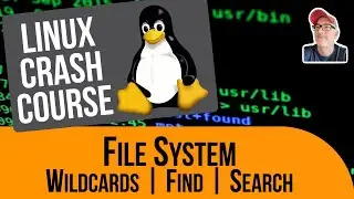 Linux Crash Course | File System - Wildcards, Find, Search