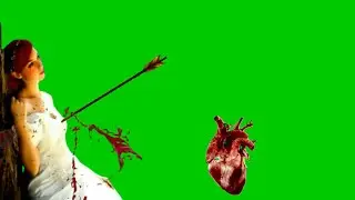 Bewafa GreenScreen Video Effects Background HD Video Effects 2021